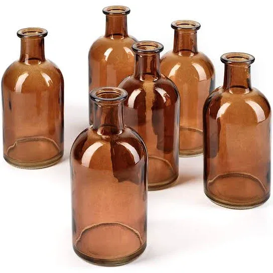 Serene Spaces Living Bud Vases, Apothecary Jars, Decorative, Amber, Set Of 6