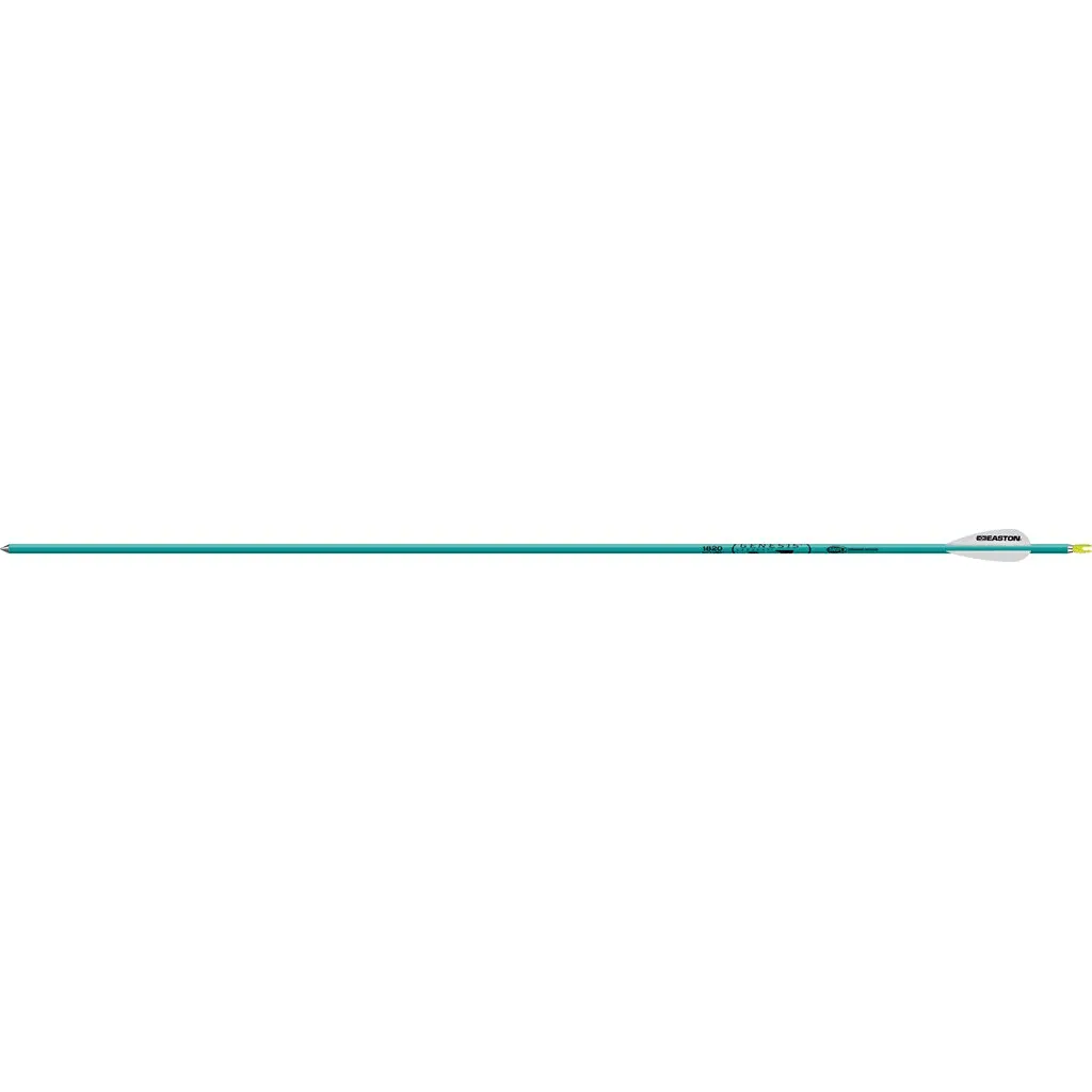 Easton Genesis Arrows Teal 1820 6 pk.