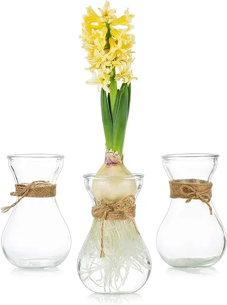 Clear Glass Vase For Flowers Set Of 3 Bulb Vase For Forcing Hyacinth Bulbs Small