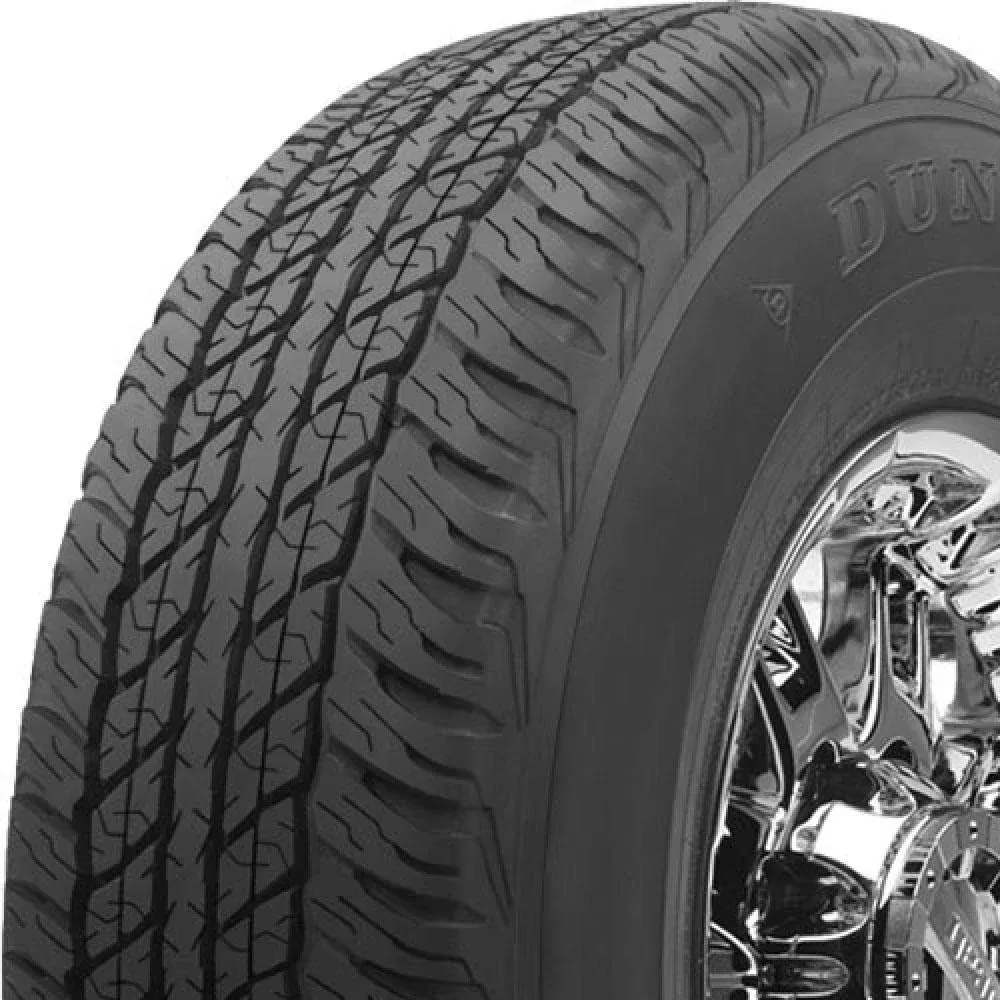 Dunlop Grandtrek AT20 All-Season Tire - 265/70R17 113S