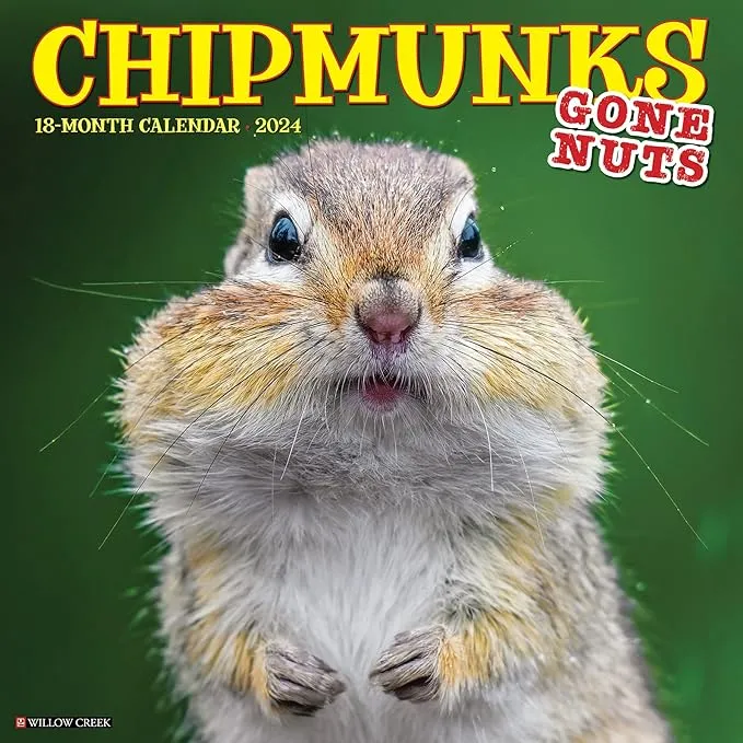 Willow Creek Press Chipmunks (Gone Nuts!) Calendrier mural mensuel 2024 (12" x 12")