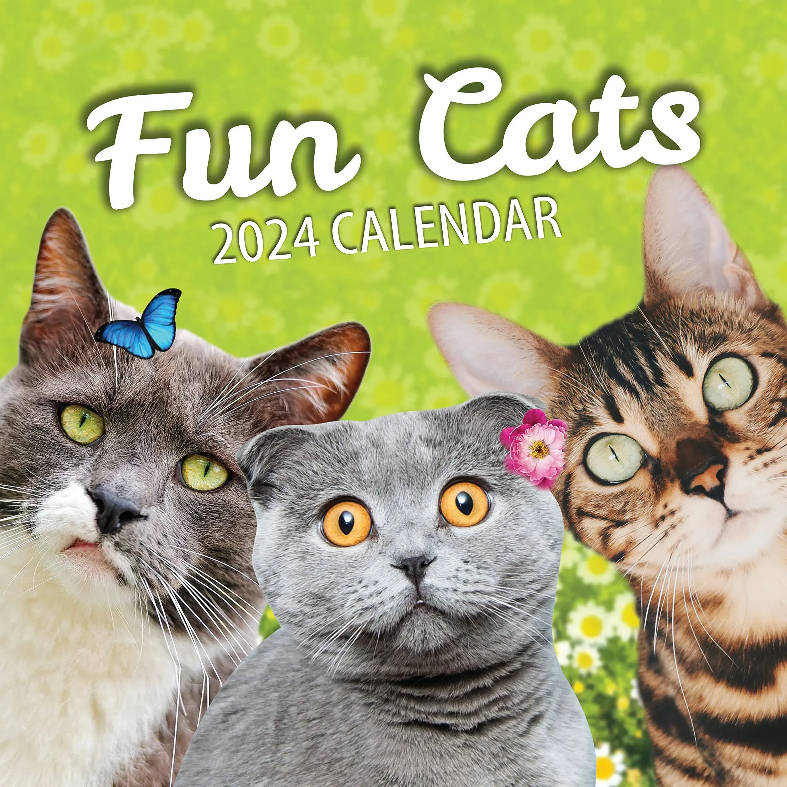 Fun Cats Wall Calendar 2024 - Large Family Planner &amp; Daily Organizer with... 