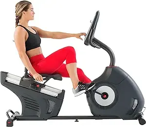 230 Recumbent Exercise Bike