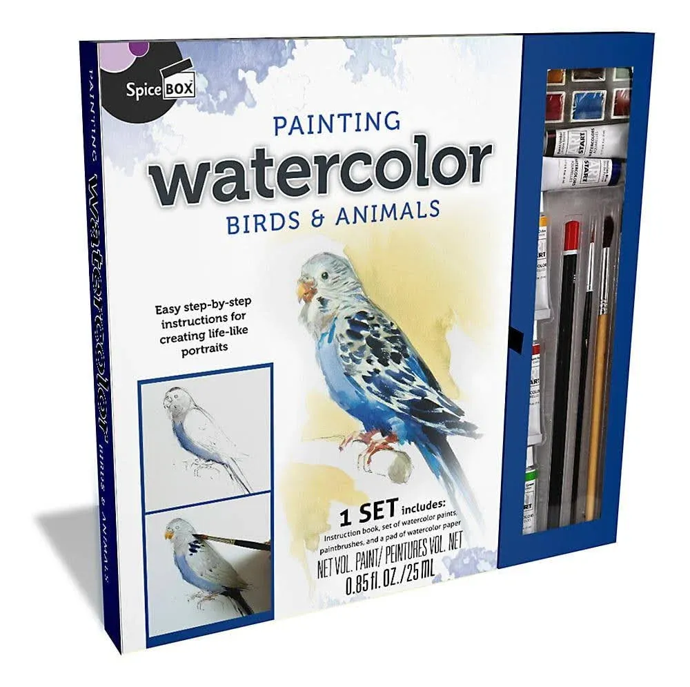 SpiceBox Master Class Step By Step Watercolor Kit