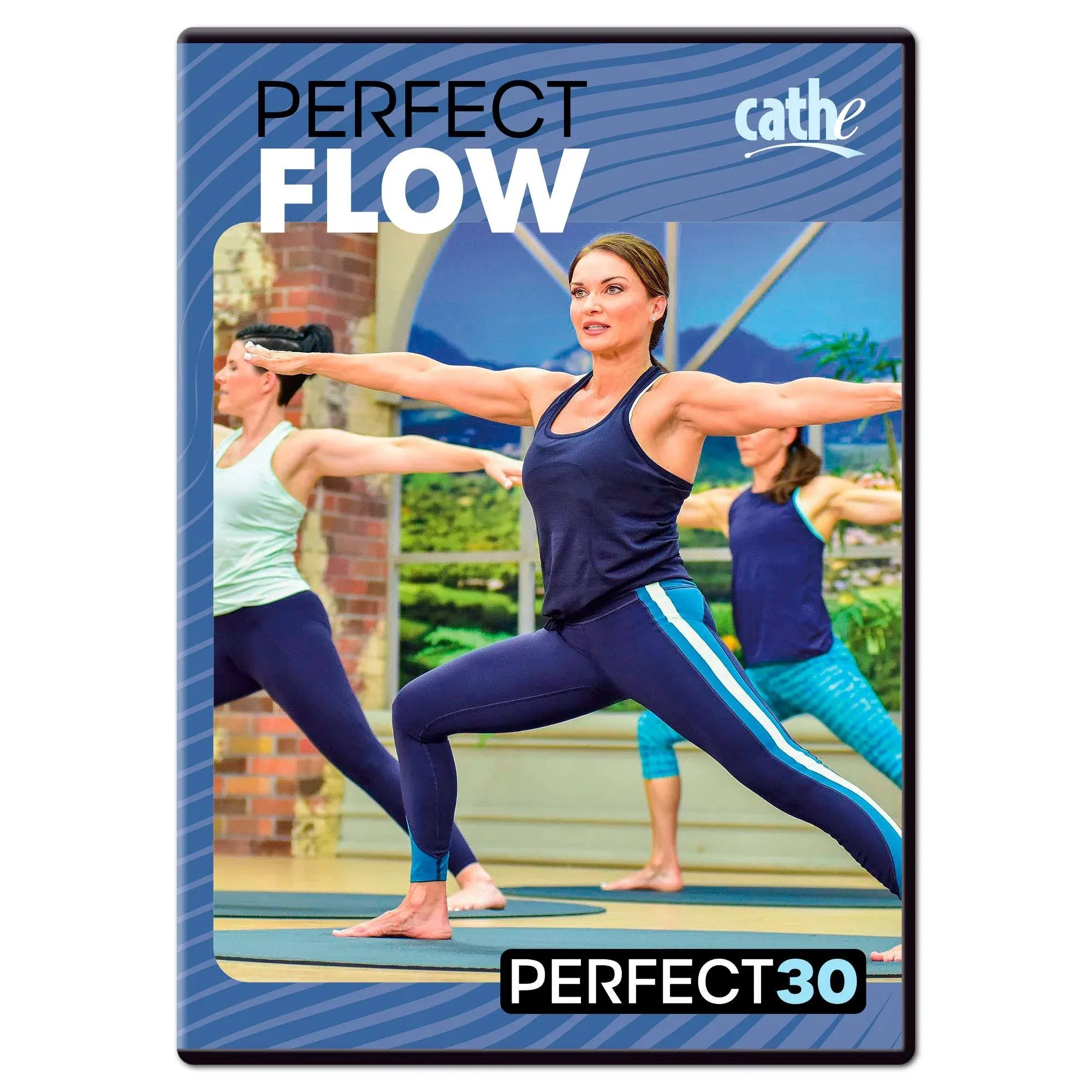 Perfect 30 Series - Perfect Flow DVD Cathe Friedrich