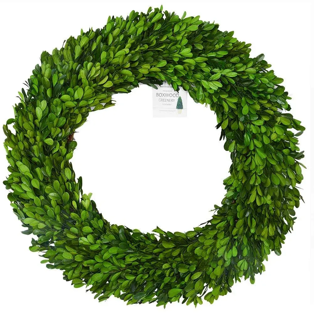 24 inch XXLarge Preserved Boxwood Wreath Farmhouse Style Realistic Real Boxwood