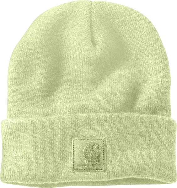 Carhartt Men's Beanie