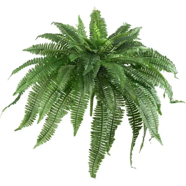 Nearly Natural Boston Fern - Set of 2 | ShopLadder