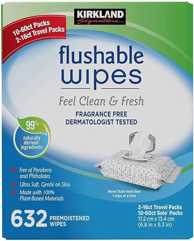 Kirkland Signature Moist Flushable Wipes