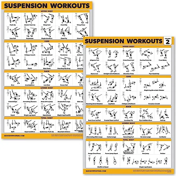 QuickFit 2 Pack Suspension Workout Posters - Volume 1 & 2 - Laminated Exercise Charts - 18" x 27" Vol. 1 & 2