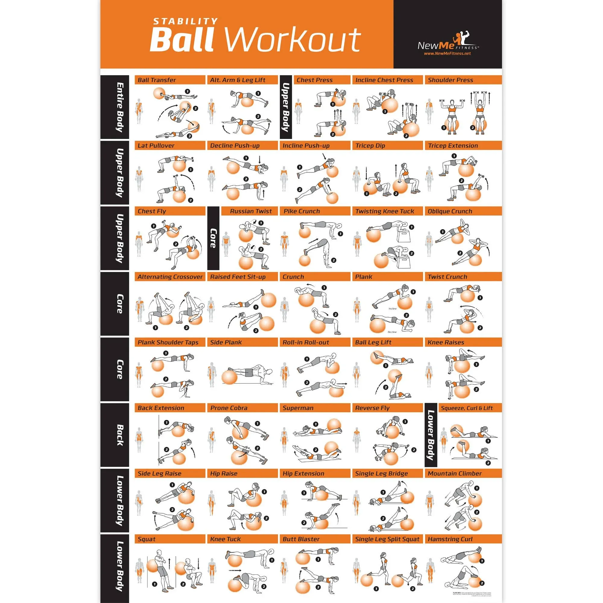 NewMe Fitness Workout Posters for Home Gym - Exercise Posters for Full Body Workout - Core, Abs, Legs, Glutes & Upper Body Training Program