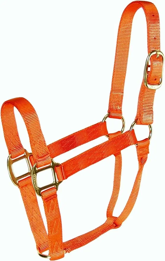 Hamilton Products Quality Nylon Halter -  blaze orange - average