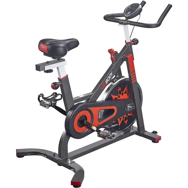 VIGBODY Exercise Bike Stationary Indoor Cycle Bike