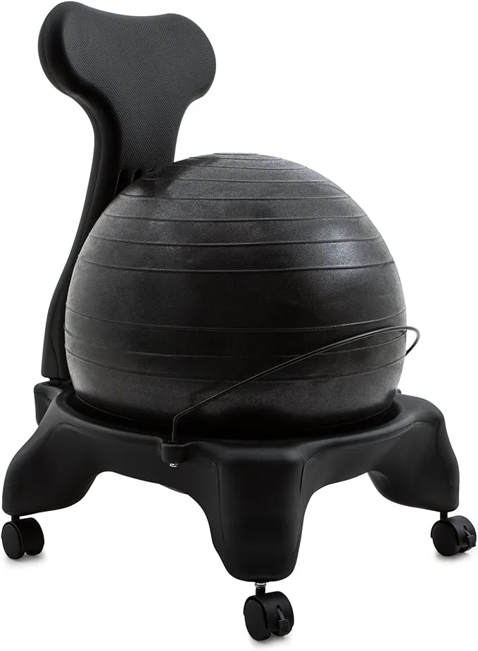 Fitpro Ball Chair