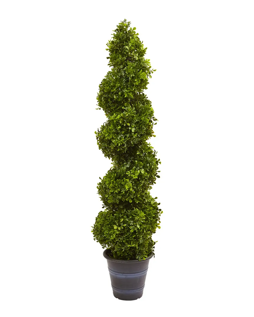 Boxwood Spiral Topiary With Planter