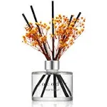 COCODOR Preserved Real Flower Reed Diffuser/Garden Lavender / 6.7oz(200ml) / 2 Pack/Reed Diffuser Set, Oil Diffuser & Reed Diffuser Sticks, Home Decor & Office Decor, Fragrance and Gifts