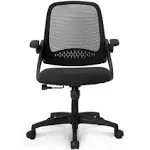 NEO CHAIR Office Desk Computer Gaming Chair with Ergonomic Lumbar Back Support F