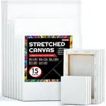 Shuttle Art Stretched Canvas, 15 Multi Pack, 4x4, 5 x 7, 8 x 10, 9x12,