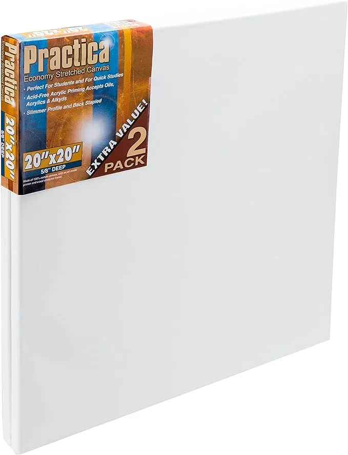 Practica Stretched Cotton Canvas 20"x20" (Pack of 2)