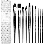 ARTEGRIA Watercolor Brush Set - 10 Professional Watercolor Paint Brushes for Artists; Soft Synthetic Squirrel Hair - Including Pointed Rounds, Flats, Dagger, Oval Wash for Water Color, Gouache, Ink