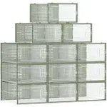 SONGMICS Stackable Shoe Storage Organizers Transparent + Laurel Green / 12 Count Fit Size 11