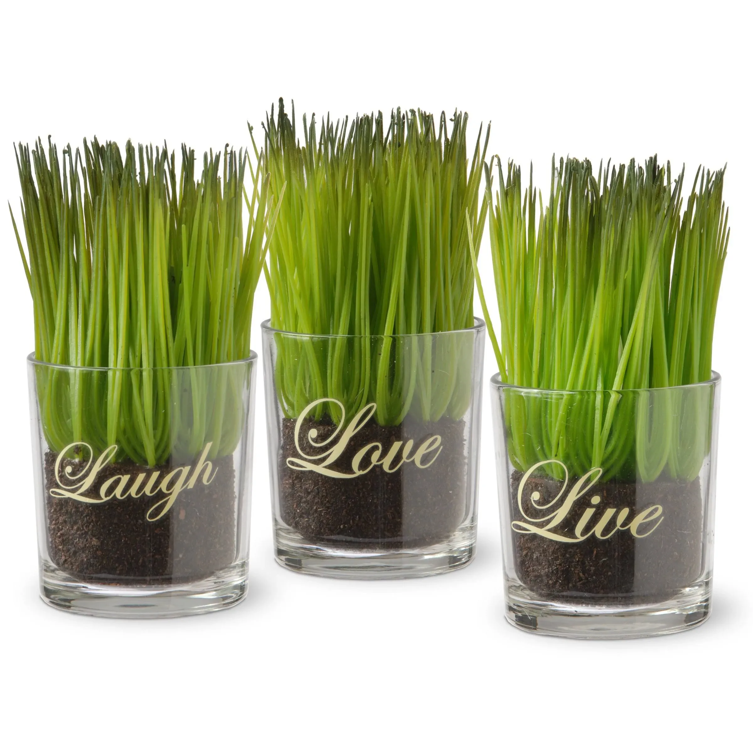 National Tree Company Glass Pot Assortment (Set of 3)