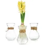 Glasseam Clear Glass Vase for Flowers, Set of 3 Bulb Vase for Forcing Hyacinth Bulbs, Small Vases for Centerpieces, Decorative Bud Flower Vase for Home Decor Living Room Wedding Table Decorations