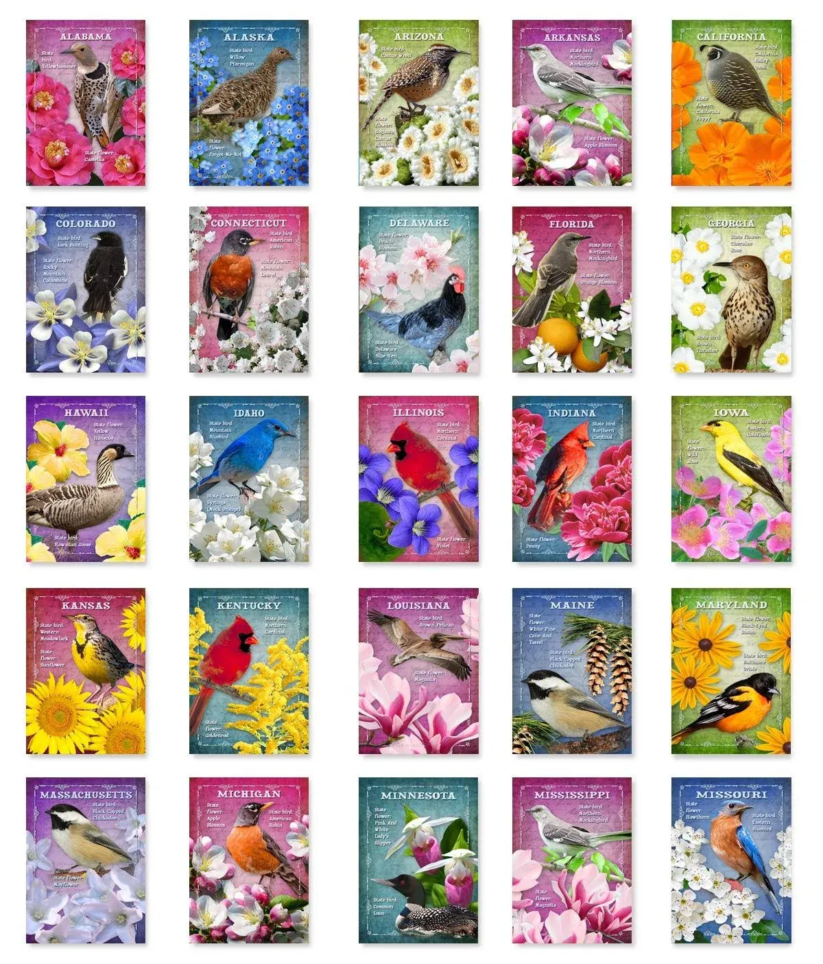 Postcard Fair US State Birds and Flowers Set of 50 Postcards