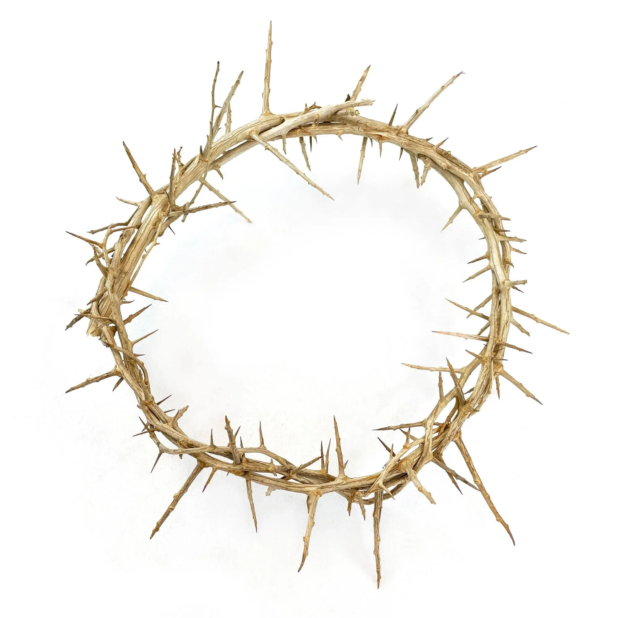 Crown of Thorns - 9" Authentic Jesus Crown from The Holy Land of Jerusalem, Headpiece Replica for Cross Topper, Easter & Lent Decorations & Tree Topper, Gift Boxed, Made in Israel Jerusalem