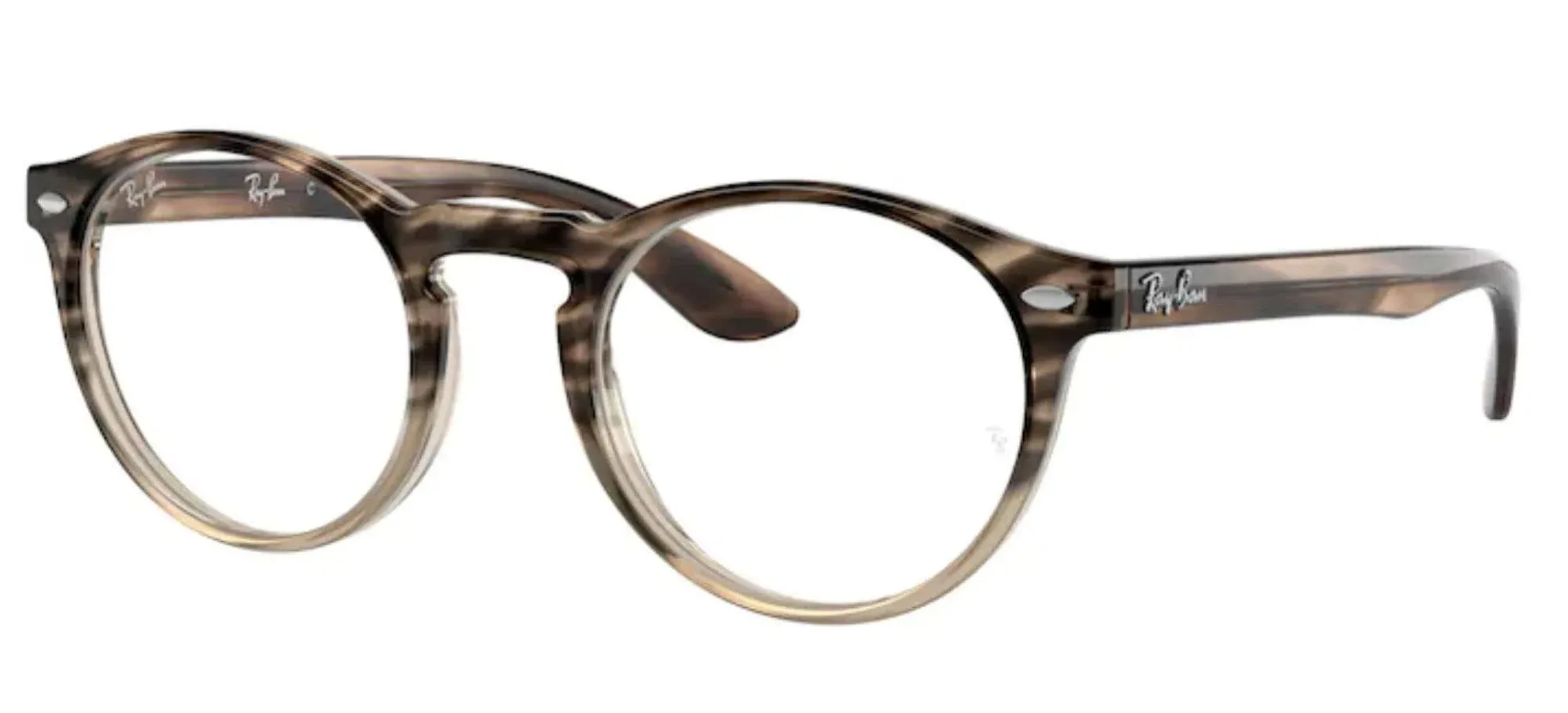 Eyeglasses Polo PH 2083 5003 Shiny Dark Havana