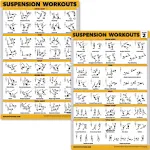 QuickFit Suspension Workout Posters Volume 1 & 2