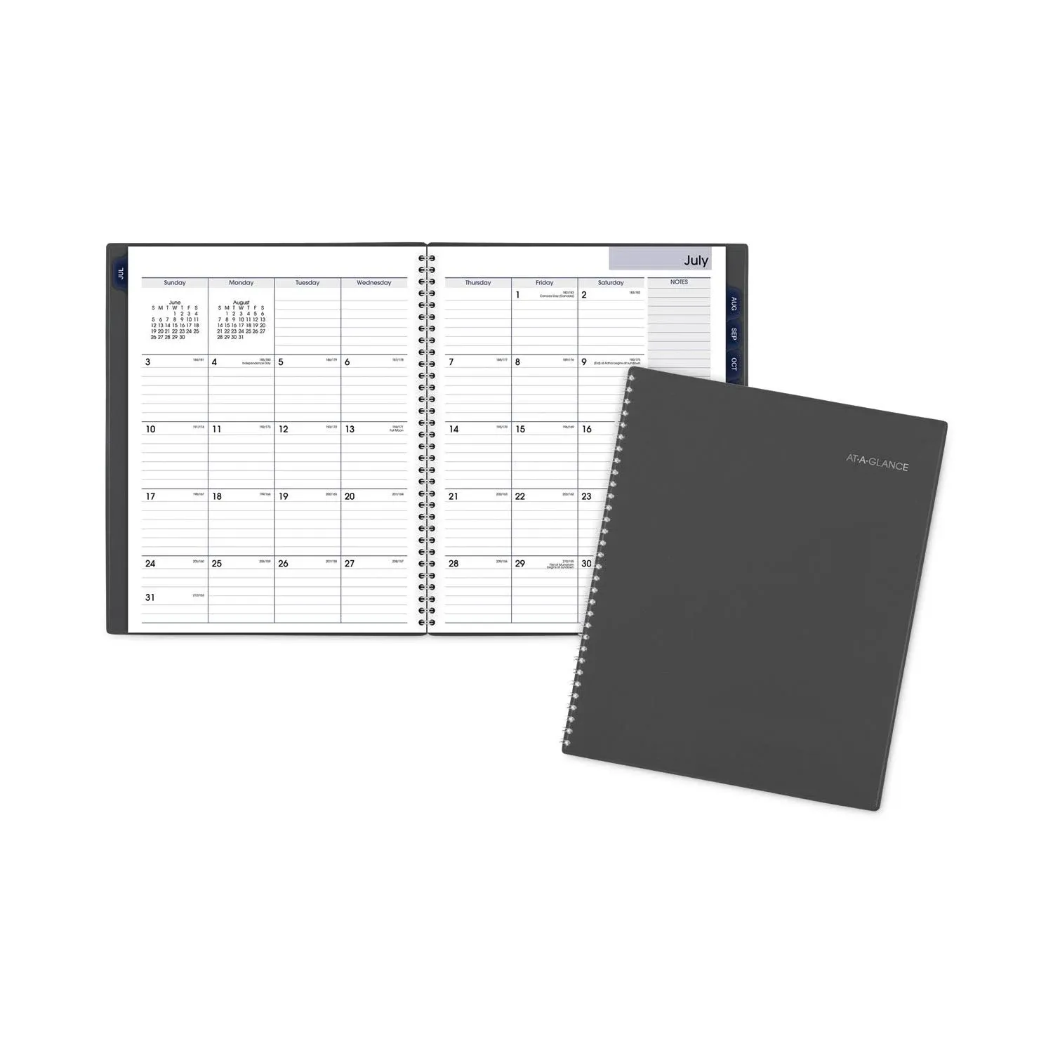 AT-A-GLANCE DayMinder Academic Monthly Planner