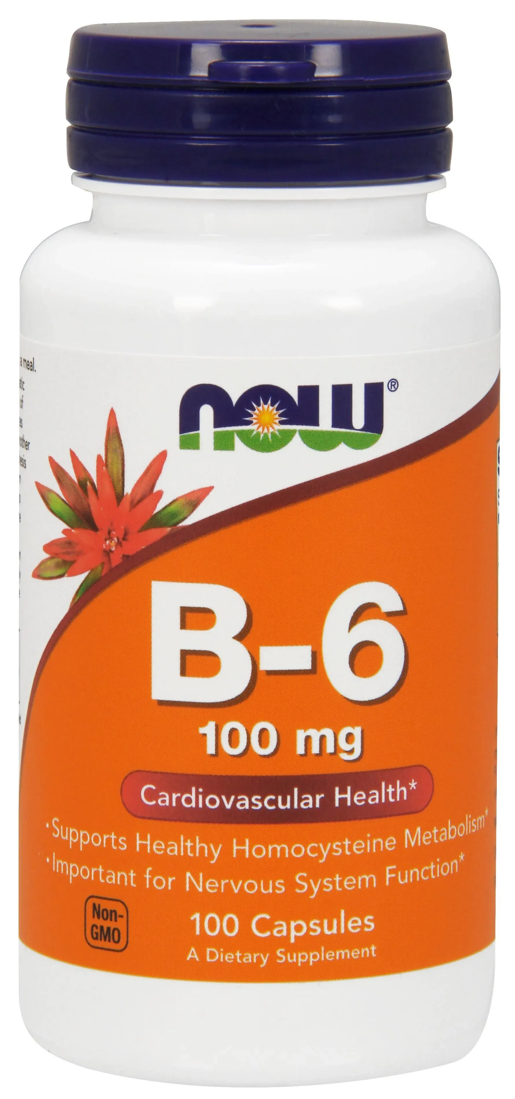 Now Foods B-6 100 mg