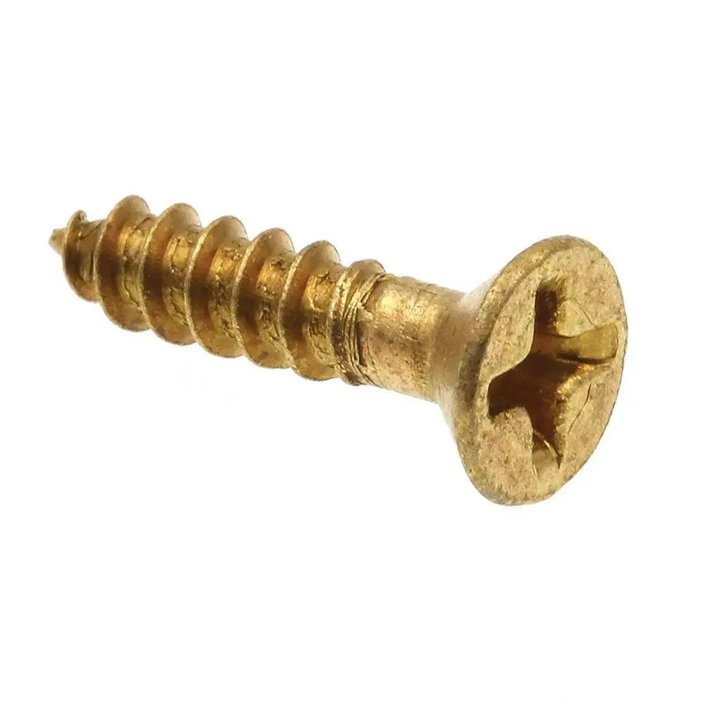 Prime-Line #6 x 5/8 in. Solid Brass Phillips Drive Flat Head Wood Screws (25-Pack ...