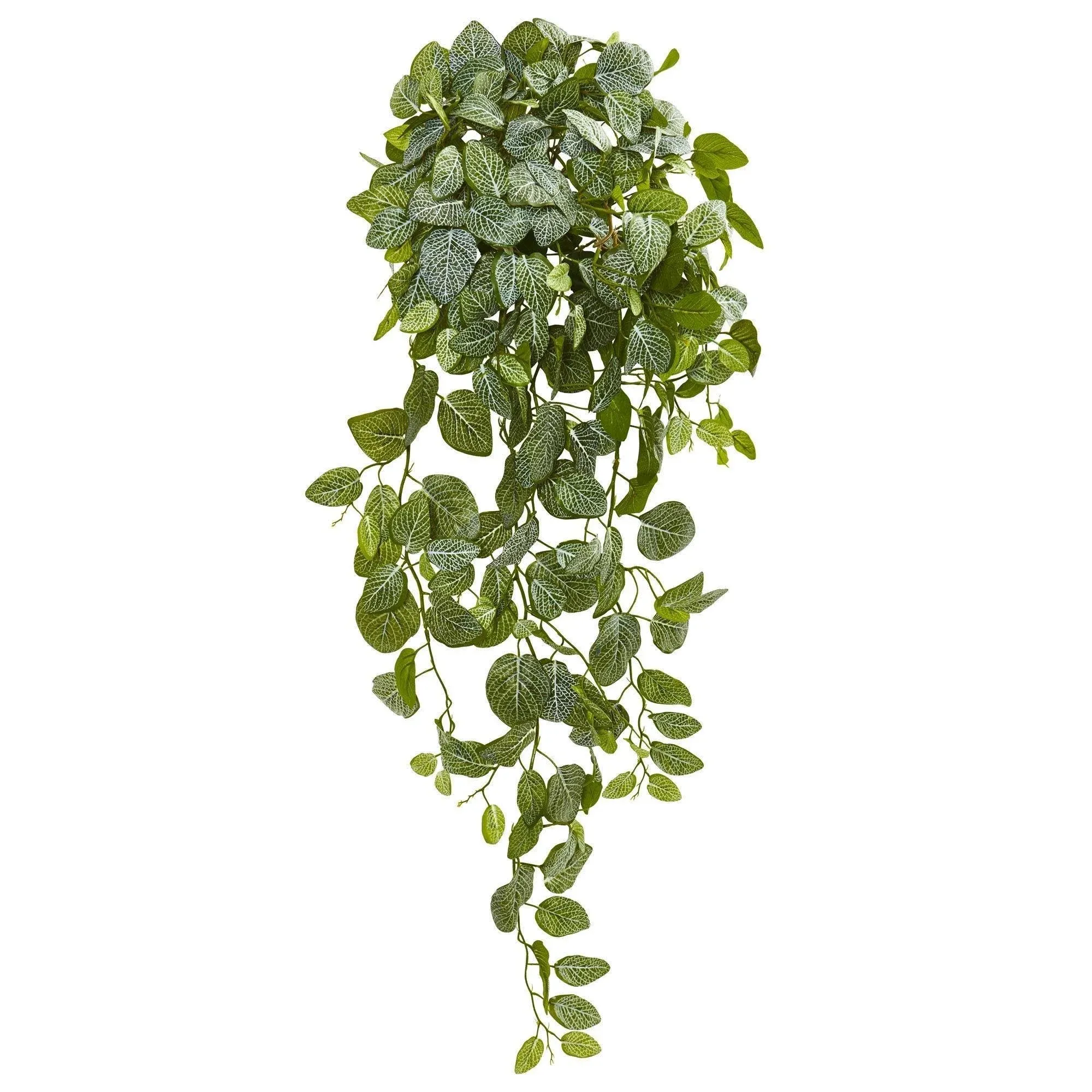 Nearly Natural 36” Fittonia Hanging Bush Artificial Plant Set Of 2 Real Touch