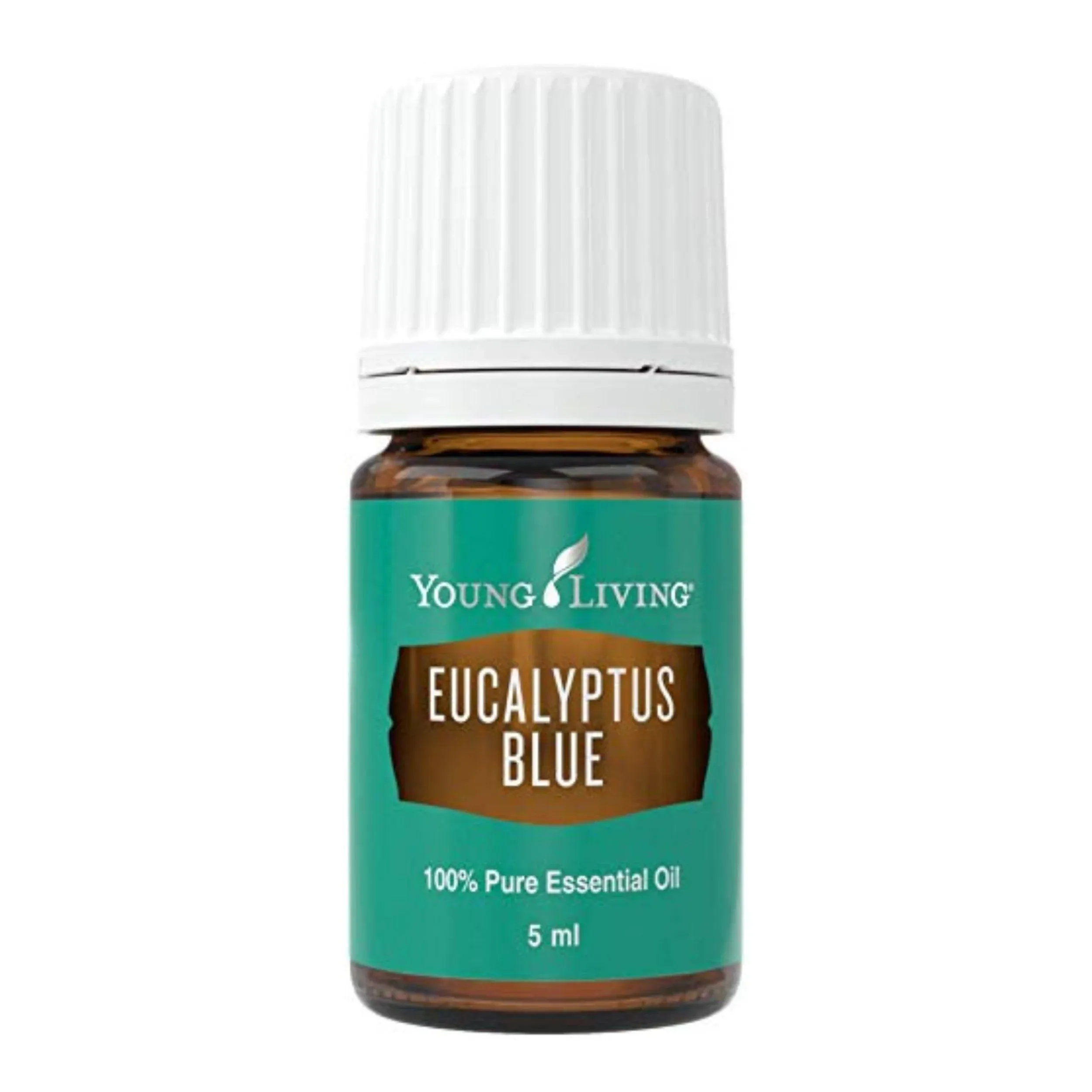 Young Living Eucalyptus Blue Essential Oil 5 ml