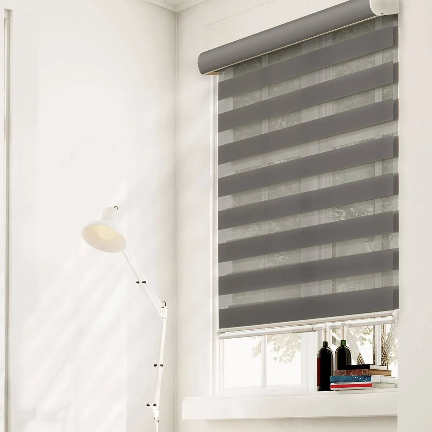 Chicology Dual Layer & Privacy Free-Stop Cordless Zebra Roller Shades, Size: 67 inch x 72 inch