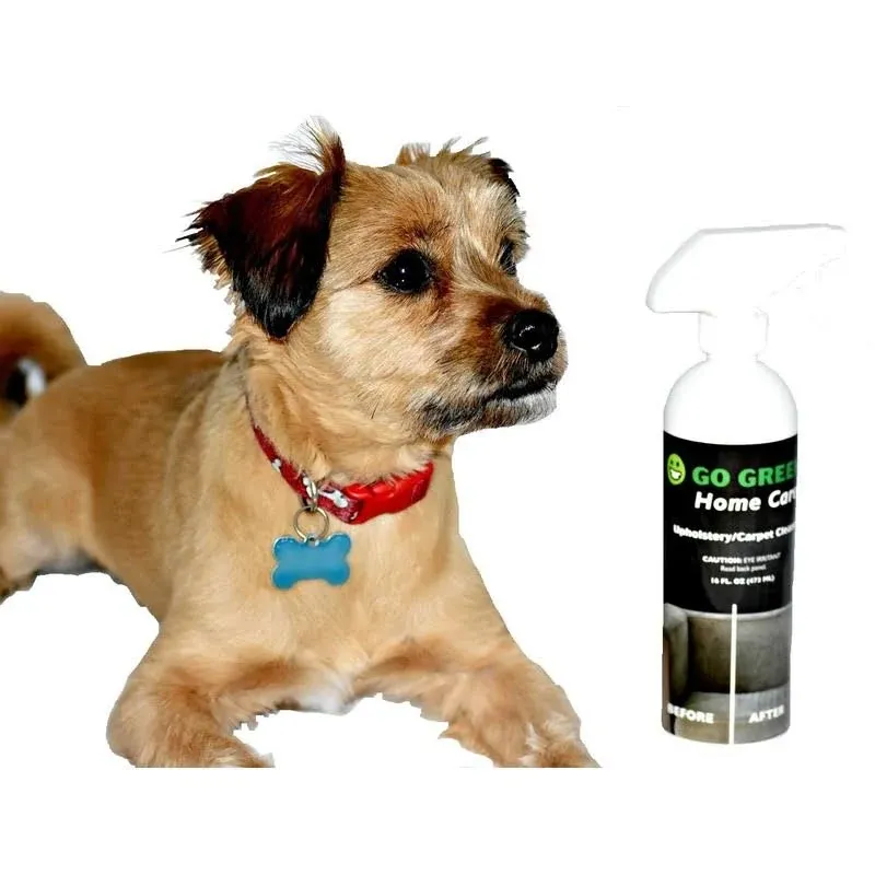 Go Green Upholstery/Carpet Cleaner - 16 oz Spray - Remove Staind from Upholstery, Chairs and Carpet - Pet Odors - Natural Citrus Enzymes neutralizers Odors. Pet and Child Safe