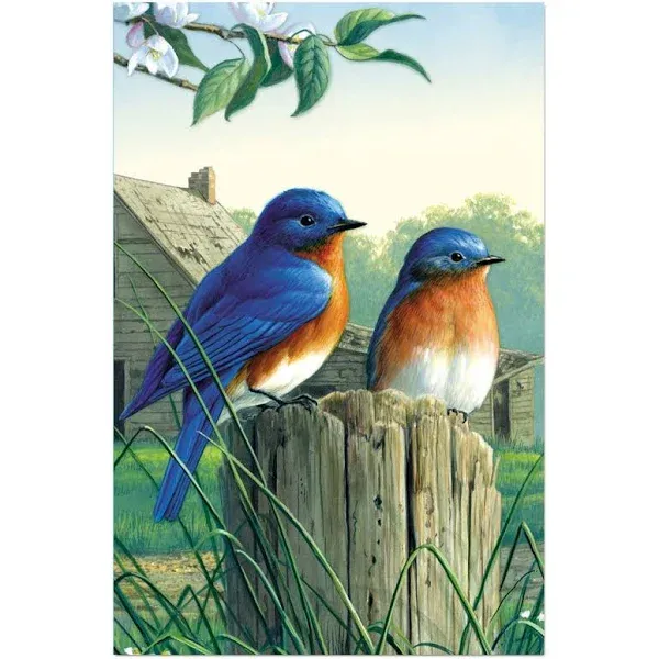 Tree-free Greetings EcoNotes Blank Note Cards, Matching Envelopes, Blank Stationary Card Set, 4 inch x 6 inch, Morning Bluebirds, Pack of 12 (fs66817)