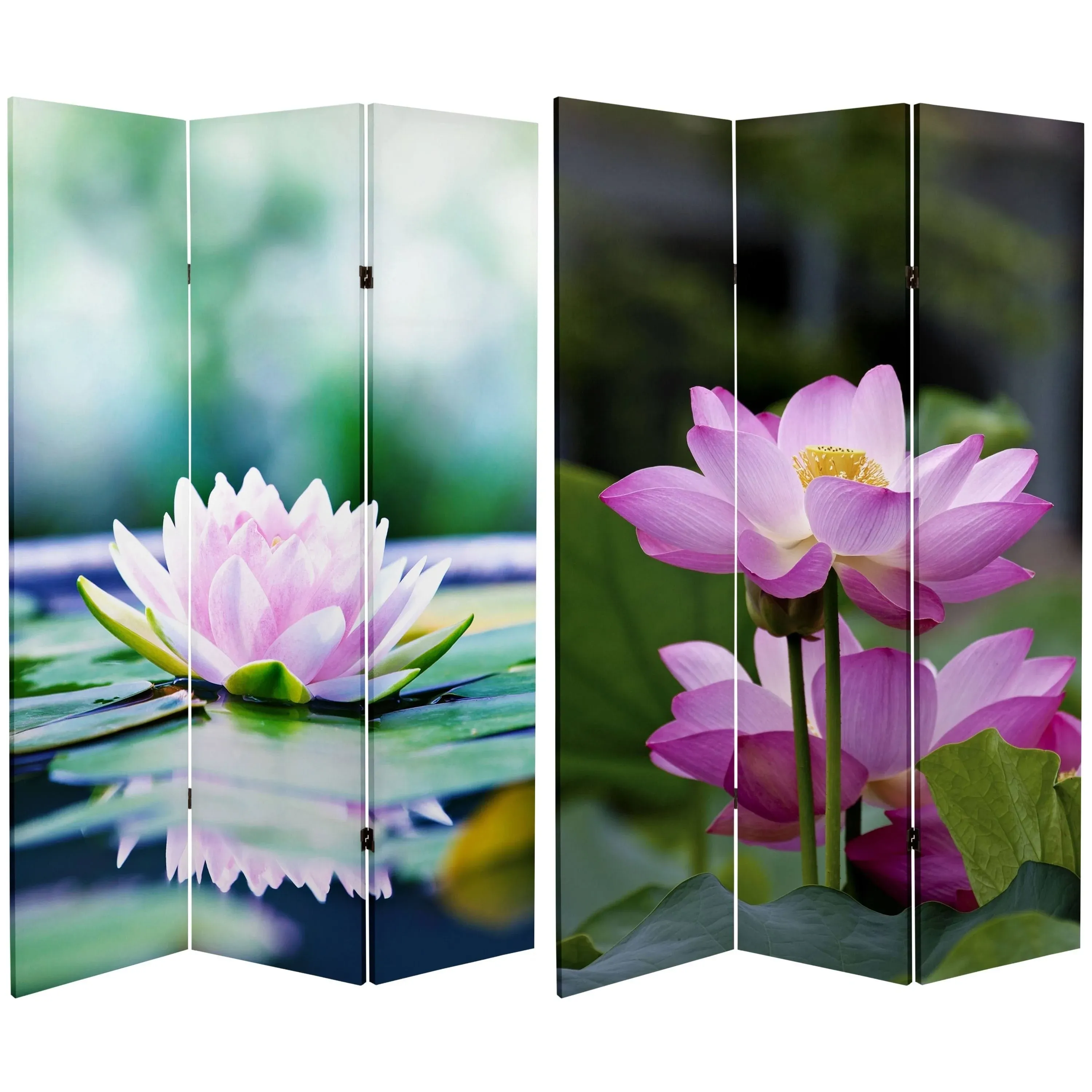 6' Tall Double Sided Lotus Blossom Canvas Room Divider - Asian - Screens And Room Dividers - by Oriental Furniture | Houzz