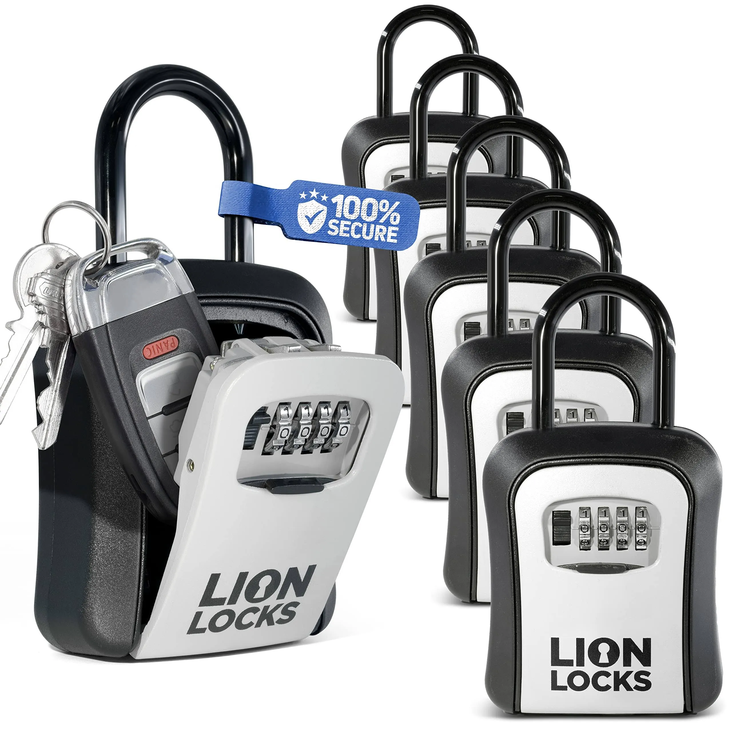 Lion Locks Lock Box for Keys