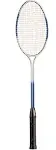 Champion Sports Badminton Racket