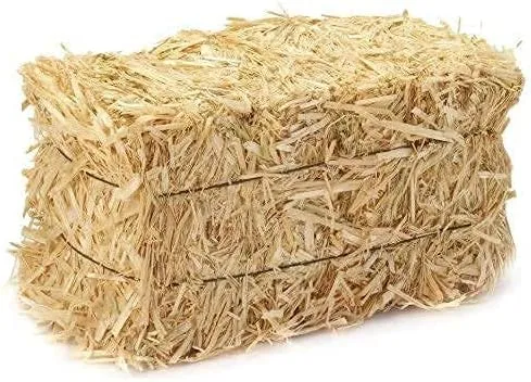 Home and Country USA Real Full Size Straw Bale, 35 inch x 19 inch 12 inch, for ...