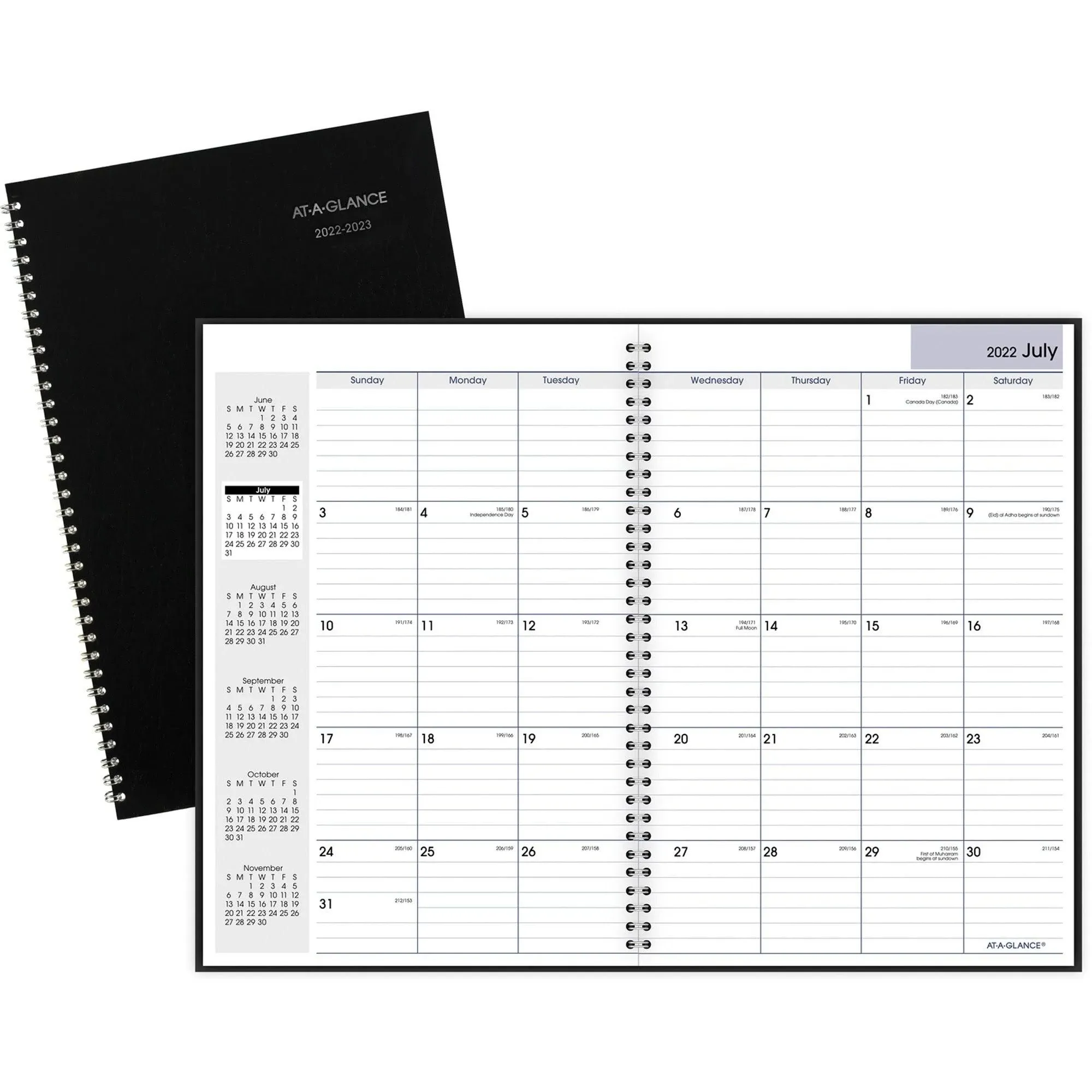 At-a-glance DayMinder Monthly Academic Planner